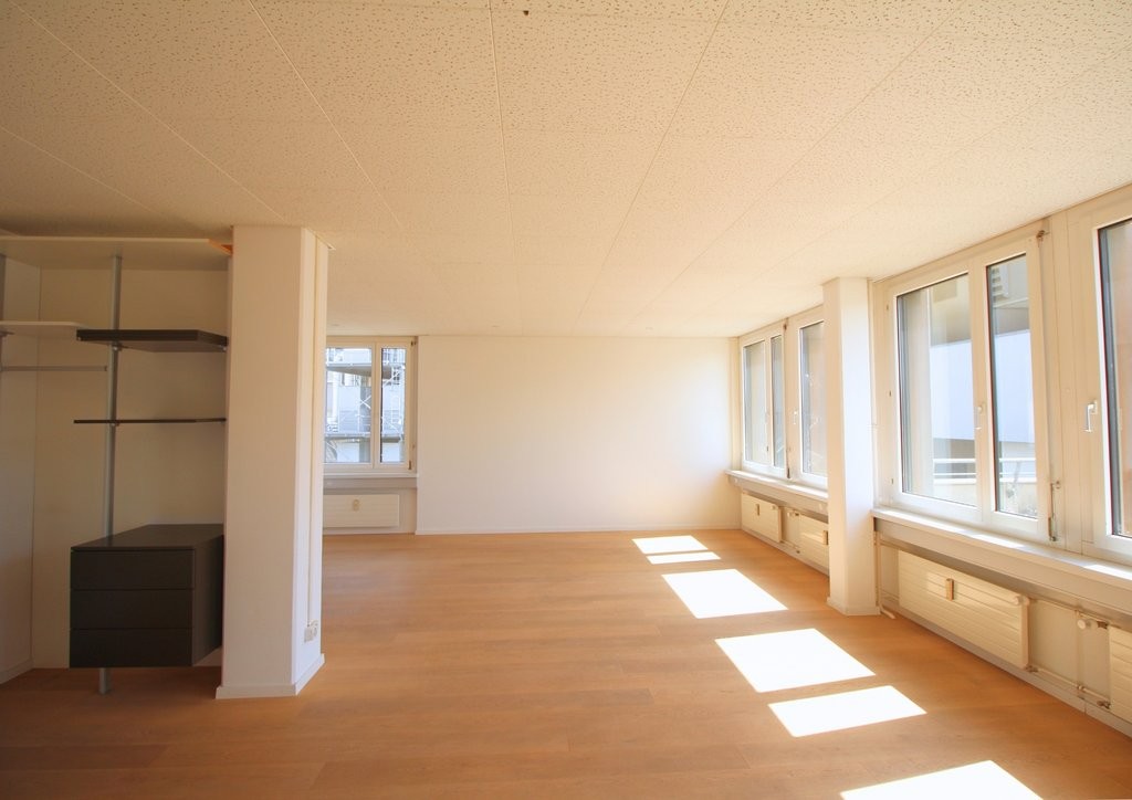  8953 Dietikon